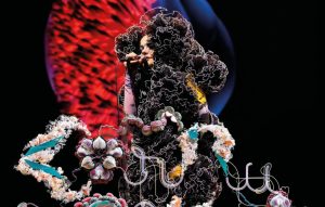 Björk celebrates 60th birthday by publicly detailing lawsuit against Icelandic State