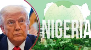 Genocide: Nigeria is a disgrace, we will stop subsidies – Trump laments again