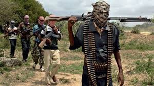 ISWAP abducts female teenagers in Borno