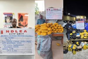 NDLEA arrests wanted drug baron