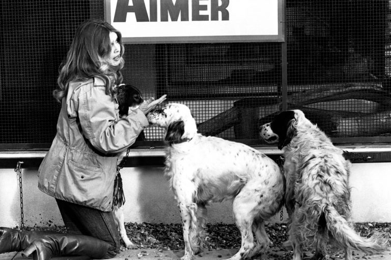 Brigitte Bardot: 10 Essential Songs