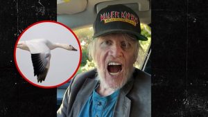 Gary Busey Loudly Honks Like a Goose in Bizarre Holiday Video