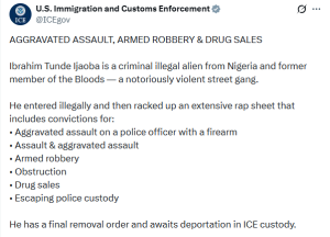 ICE arrests Nigerian man for aggravated assault, armed robbery and drug sales in US