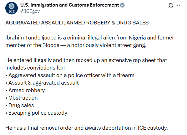 ICE arrests Nigerian man for aggravated assault, armed robbery and drug sales in US