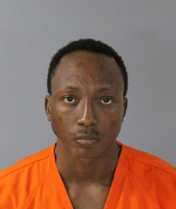 Illegal Nigerian immigrant pleads guilty to making false statements while attempting to purchase firearm in US