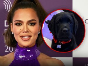 Khloé Kardashian Gets Family Puppy for Christmas