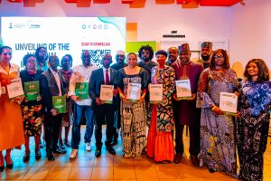 Nigeria’s Bold Leap Into the Future of Ideas: A New Era for Intellectual Property