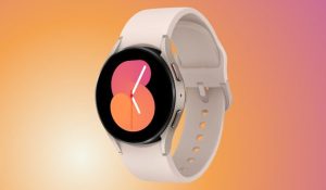 The One UI 8 Watch update reaches the Galaxy Watch 5