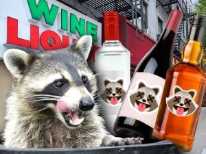 Viral ‘Drunk Raccoon’ Liquor Store Releases Three Cocktails