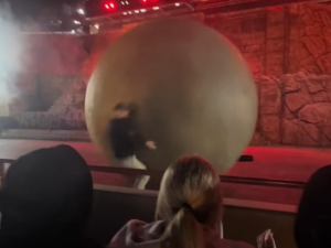 Disney World Employee Recovering After 400-lb Boulder Crushed Him