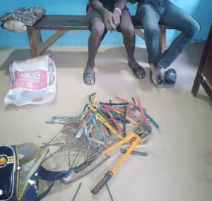 Police arrest three for grave desecration and transformer vandalism in Oyo